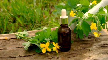 Şifalı bitkisel selandin özü ve diyet takviyeleri. Seçici odaklanma. Doğa.