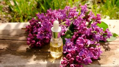 Leylak çiçeği özü ve diyet takviyeleri. Seçici odaklanma. Doğa.