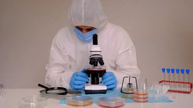 Laboratuvardaki petri kabındaki bakterileri inceleyin. Seçici odaklanma. Doğa.