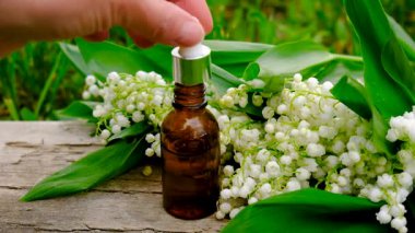 Vadi Zambağı bir şişede özütüyor. Seçici odaklanma. Doğa.