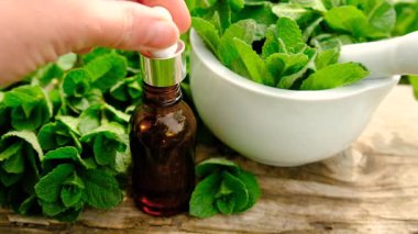 Nane özü, temel yağ ve takviyeler. Seçici odaklanma. Doğa.