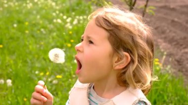 Çocuk parkta karahindiba üflüyor. Seçici odaklanma. Alerji çocuğu..
