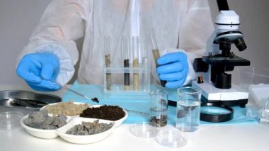 Laboratuvarda toprak testi. Seçici odaklanma. Doğa.