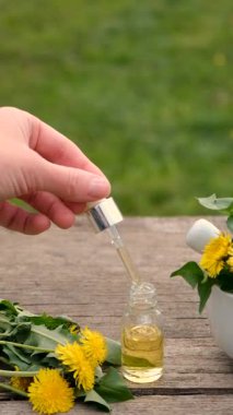 Karahindiba özü ve homeopatik takviyeler. Seçici odaklanma. Doğa.