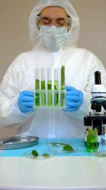 Laboratuvardaki bitkilerin araştırması. Seçici odaklanma. Doğa.