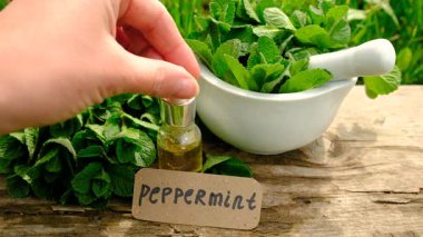 Nane özü, temel yağ ve takviyeler. Seçici odaklanma. Doğa.