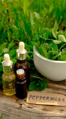 Nane özü, temel yağ ve takviyeler. Seçici odaklanma. Doğa.