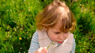 Çocuk parkta karahindiba üflüyor. Seçici odaklanma. Alerji çocuğu..