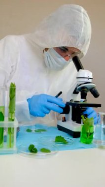 Laboratuvardaki bitkilerin araştırması. Seçici odaklanma. Doğa.