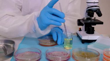 Laboratuvardaki petri kabındaki bakterileri inceleyin. Seçici odaklanma. Doğa.