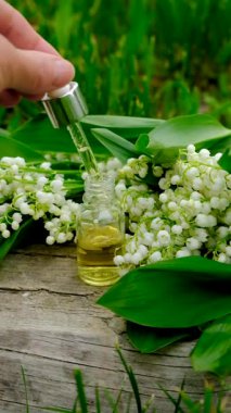 Vadi Zambağı bir şişede özütüyor. Seçici odaklanma. Doğa.