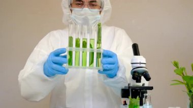 Laboratuvardaki bitkilerin araştırması. Seçici odaklanma. Doğa.