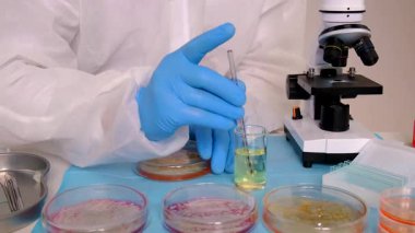 Laboratuvardaki petri kabındaki bakterileri inceleyin. Seçici odaklanma. Doğa.
