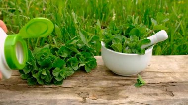 Nane özü, temel yağ ve takviyeler. Seçici odaklanma. Doğa.