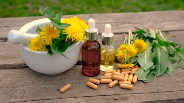 Karahindiba özü ve homeopatik takviyeler. Seçici odaklanma. Doğa.