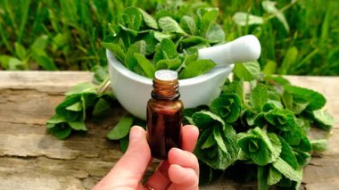 Nane özü, temel yağ ve takviyeler. Seçici odaklanma. Doğa.