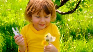 Çocuğun karahindibaya alerjisi var. Seçici odaklanma. Çocuk.
