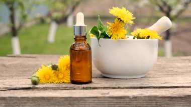 Karahindiba özü ve homeopatik takviyeler. Seçici odaklanma. Doğa.