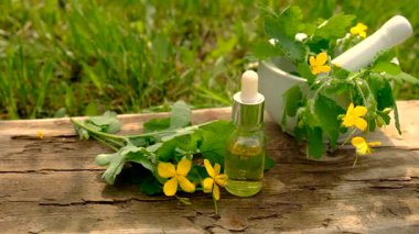 Şifalı bitkisel selandin özü ve diyet takviyeleri. Seçici odaklanma. Doğa.