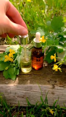 Şifalı bitkisel selandin özü ve diyet takviyeleri. Seçici odaklanma. Doğa.