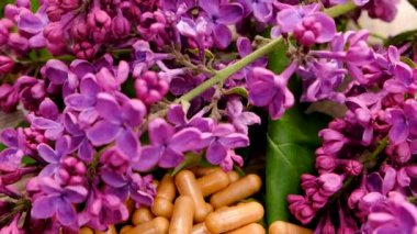 Leylak çiçeği özü ve diyet takviyeleri. Seçici odaklanma. Doğa.