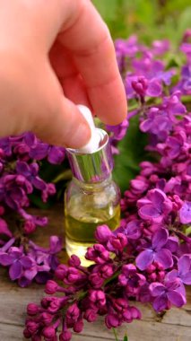 Leylak çiçeği özü ve diyet takviyeleri. Seçici odaklanma. Doğa.