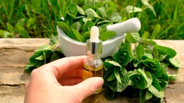 Nane özü, temel yağ ve takviyeler. Seçici odaklanma. Doğa.