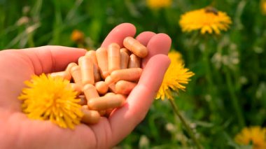 Karahindiba özü ve homeopatik takviyeler. Seçici odaklanma. Doğa.