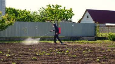 Bahçeyi yabani otlardan arındırın. Seçici odaklanma. Doğa.