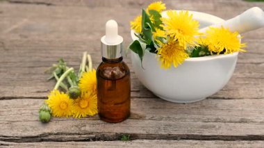 Karahindiba özü ve homeopatik takviyeler. Seçici odaklanma. Doğa.