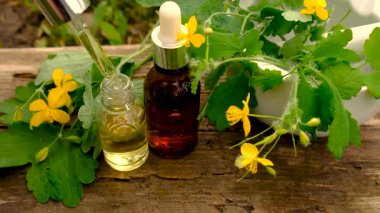 Şifalı bitkisel selandin özü ve diyet takviyeleri. Seçici odaklanma. Doğa.