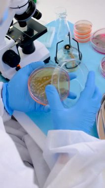 Laboratuvardaki petri kabındaki bakterileri inceleyin. Seçici odaklanma. Doğa.