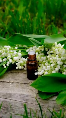 Vadi Zambağı bir şişede özütüyor. Seçici odaklanma. Doğa.