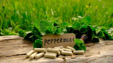 Nane özü, temel yağ ve takviyeler. Seçici odaklanma. Doğa.