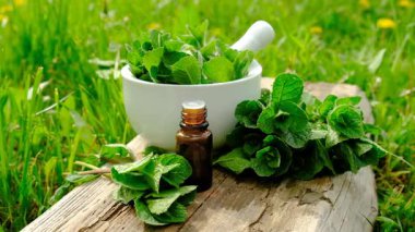 Nane özü, temel yağ ve takviyeler. Seçici odaklanma. Doğa.