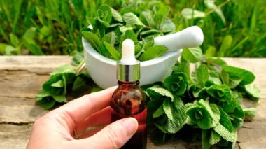 Nane özü, temel yağ ve takviyeler. Seçici odaklanma. Doğa.