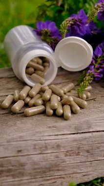 Azgın keçi ağacı alternatif ilaç çıkartır. Seçici Odaklanma. Doğa.