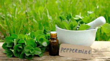 Nane özü, temel yağ ve takviyeler. Seçici odaklanma. Doğa.