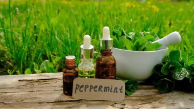 Nane özü, temel yağ ve takviyeler. Seçici odaklanma. Doğa.