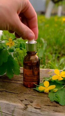 Şifalı bitkisel selandin özü ve diyet takviyeleri. Seçici odaklanma. Doğa.