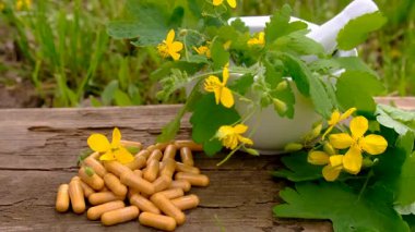 Şifalı bitkisel selandin özü ve diyet takviyeleri. Seçici odaklanma. Doğa.