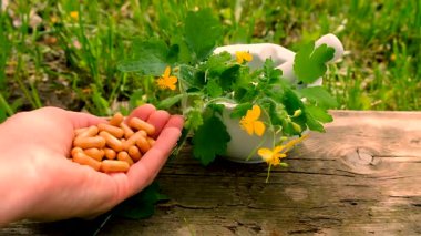 Şifalı bitkisel selandin özü ve diyet takviyeleri. Seçici odaklanma. Doğa.
