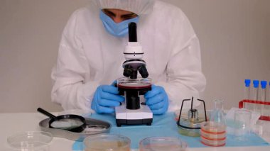 Laboratuvardaki petri kabındaki bakterileri inceleyin. Seçici odaklanma. Doğa.