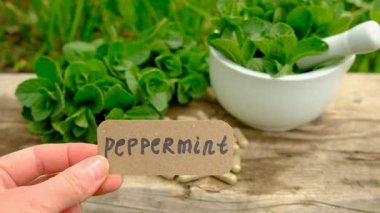 Nane özü, temel yağ ve takviyeler. Seçici odaklanma. Doğa.