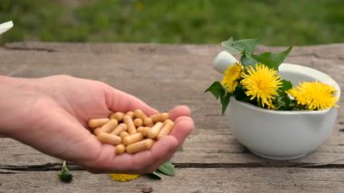 Karahindiba özü ve homeopatik takviyeler. Seçici odaklanma. Doğa.