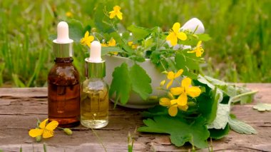 Şifalı bitkisel selandin özü ve diyet takviyeleri. Seçici odaklanma. Doğa.