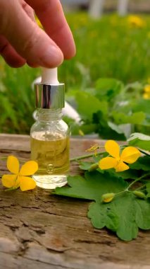 Şifalı bitkisel selandin özü ve diyet takviyeleri. Seçici odaklanma. Doğa.