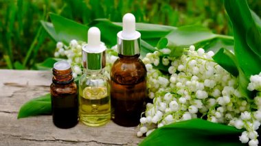 Vadi Zambağı bir şişede özütüyor. Seçici odaklanma. Doğa.