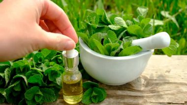 Nane özü, temel yağ ve takviyeler. Seçici odaklanma. Doğa.