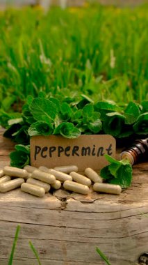 Nane özü, temel yağ ve takviyeler. Seçici odaklanma. Doğa.